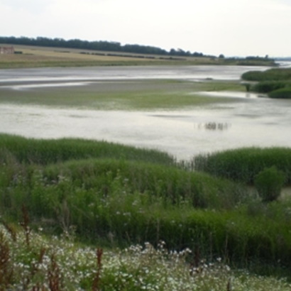 Welwick Chowder Ness